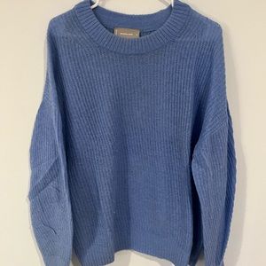 Everlane light blue alpaca sweater. Great condition
